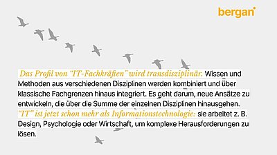 bergan-it transdisziplinär-hamburg-anke nehrenberg